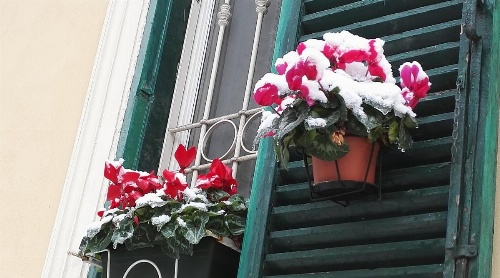 Termini Gold Guesthouse image 17